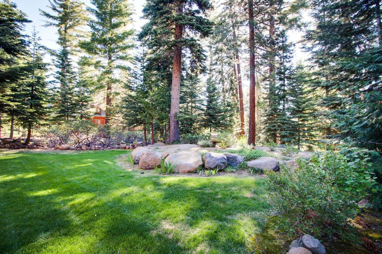 Fawn * Tahoe Vista